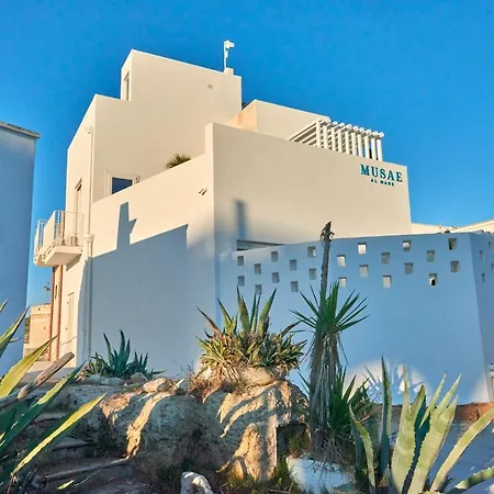 Musae Al Mare-2